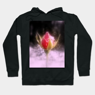 rosebud in the snow 4, tinted Hoodie